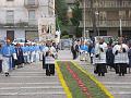 00 - Infiorata 2008 (14)